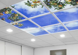 Modular ceiling